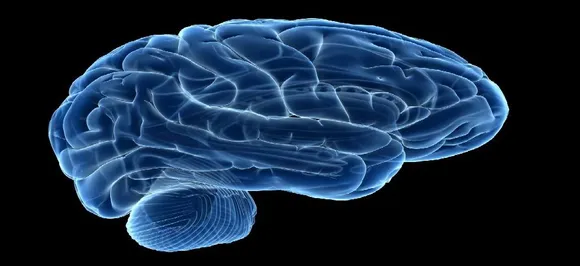 Scientists connect three human brains enabling them to share thoughts 