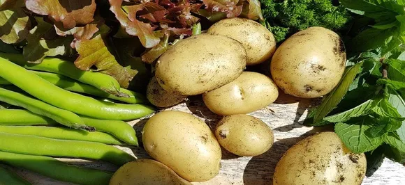 Potatoes can transform your body: Find out how