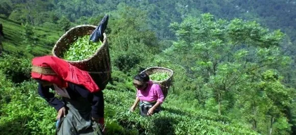 Sikkim: '100% organic state' gets F&O award for best policies