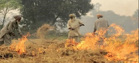 â€˜It takes just a matchstickâ€™: Punjab farmers take the cheaper way out to deal with paddy stubble