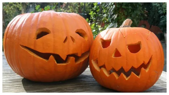 Halloween Costumes You Can Steal From Your Favourite Celebrities