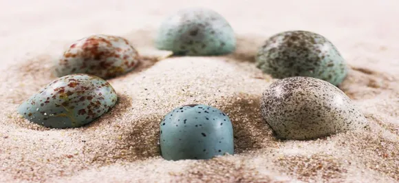 Dinosaur had colourful eggs with spots, speckles and they were awesome