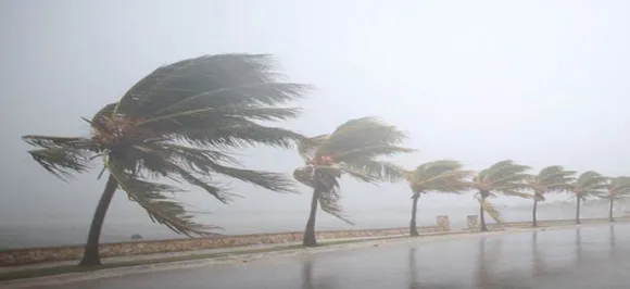 Cyclone Gaja to make landfall in Tamil Nadu today; schools, colleges to remain shut