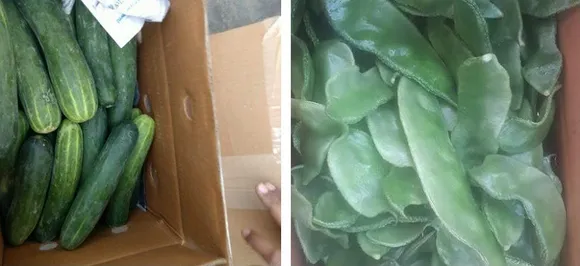 Assamâ€™s vegetables now available in UAE markets