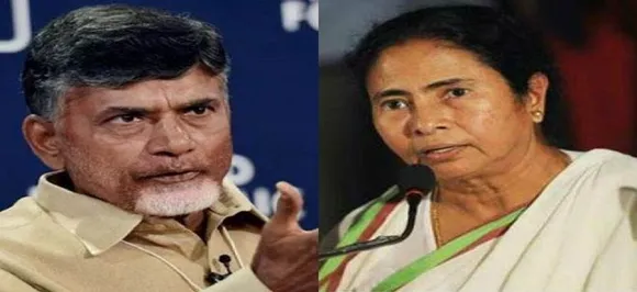 'All are face of coalition, seniors to Modi': Mamata Banerjee after meeting Chandrababu Naidu