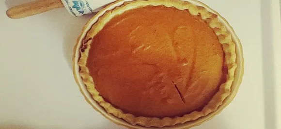 Love pumpkin-pies? Thank mammoth poop!