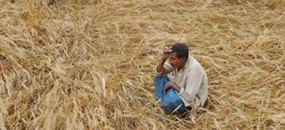 In Maharashtra, 235 farmers suicide in one month: State Government
