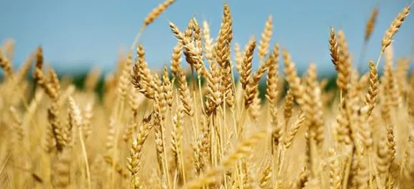Australian university to help Indian farmers double income