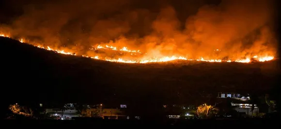 Massive fire at Aarey forest near Infinity ITâ€‰Park in Mumbai, no casualty reported