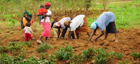 Cabinet approves India's first agriculture export policy, seeks to double farmers' income by 2022