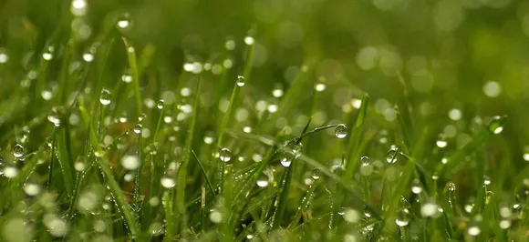 â€‹â€‹The Quiet Space: â€‹In a million bubbling dew drops