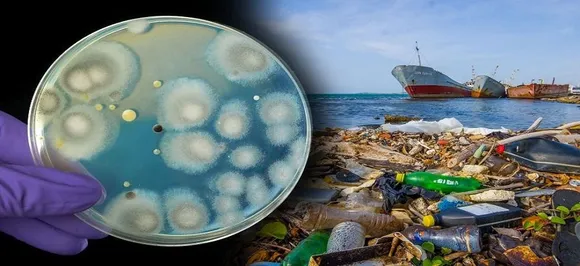 A fungus that can â€˜Eat' plastic discovered in garbage dump in Pakistan