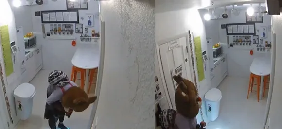 Woman dons Rudolph the red-nosed reindeer costume during theft and Fort Police needs our help!