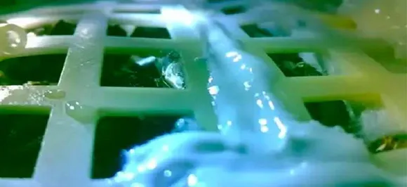 Chinese seed sprouts on Moon, becomes first botanical matter to grow there