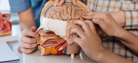 Do you know human brain works backwards to retrieve memories?