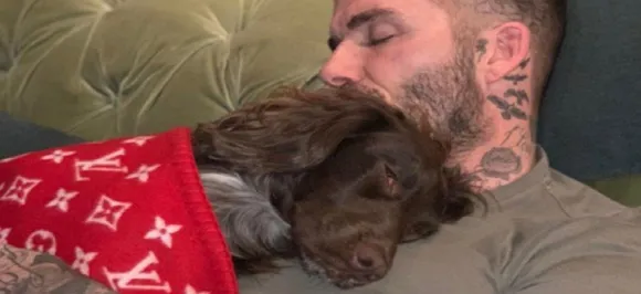 David Beckhamâ€™s pooch illustrates the luxe life, snuggles in a Louis Vuitton blanket worth Rs 4 lakh