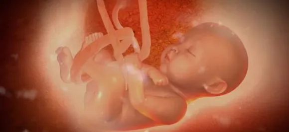 China's second gene-edited foetus is 12-14 weeks old, claims scientist