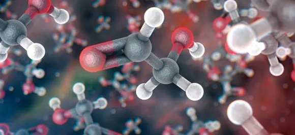 Scientists discover molecules which can protect neurones against degeneration