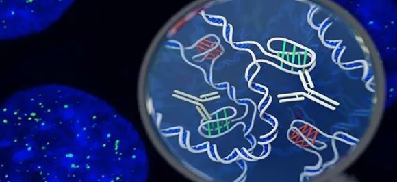 Scientists hope DNA in water could be way to save rare fish