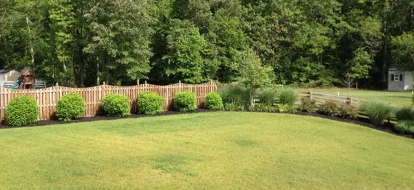 Green spaces may increase happiness, help you trust strangers: Study