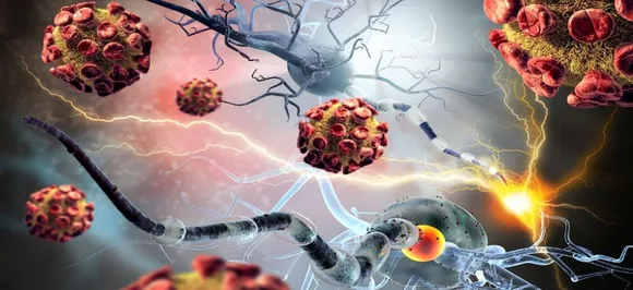 Auto-immune diseases on rise among women of reproductive age: Experts