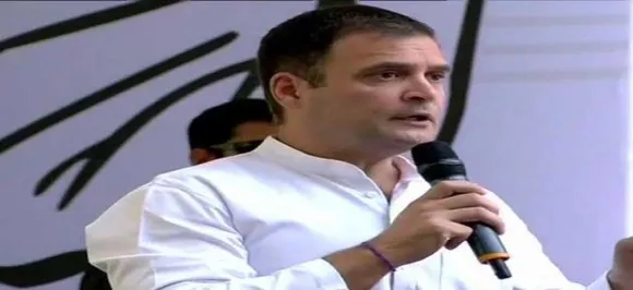 South India 'feels hostility' from Modi: Rahul Gandhi on Wayanad pick