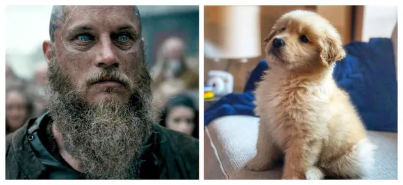 Sorry Lumberjack Look! Study Claims That Men With Beards Carry More Germs Than Dogs