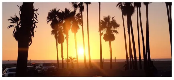 Coachella Film festival 2019: Unprotected intercourse linked to spike in Herpes cases