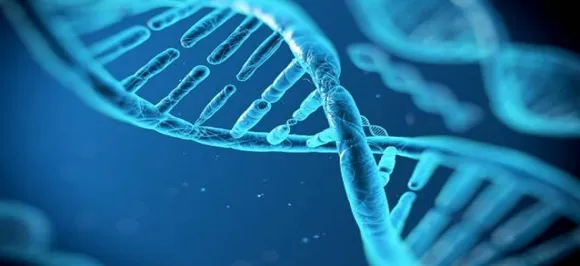 Embryo stem cells created from skin cells, says study