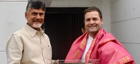 Naidu meets Rahul with grand post-poll alliance idea, oppn may choose PM face on May 21: Sources