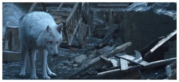 Game of Thrones director real reason why Jon Snow didnâ€™t pet Ghost goodbye