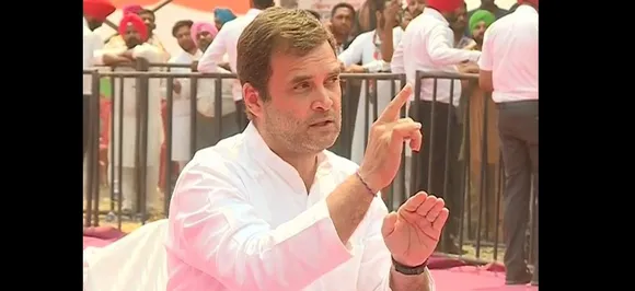 'Contesting from Wayanad to give South India a message': Rahul Gandhi to News Nation