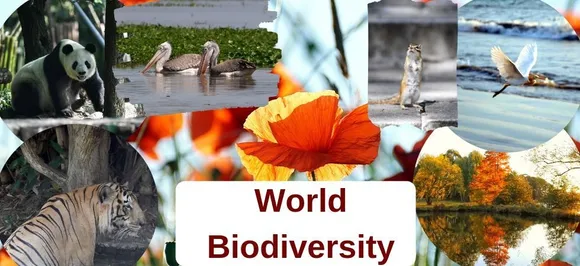 International Day for Biological Diversity 2019: What this yearâ€™s theme,â€˜â€™Our Biodiversity, Our Food, Our Healthâ€™â€™ mean 