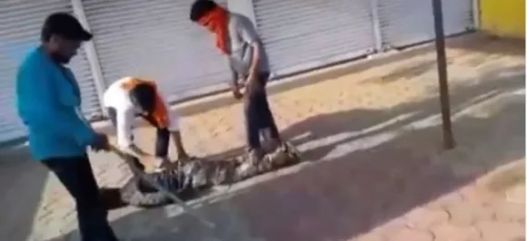 Forced to chant 'Jai Shri Ram', 3 Muslims including woman thrashed by alleged cow vigilantes