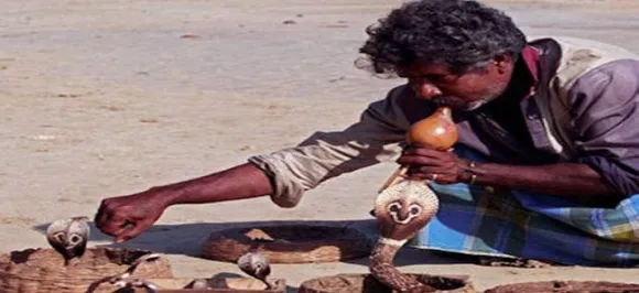 Music from Indian snake charmer's flute may boost brain development of premature infants: Study
