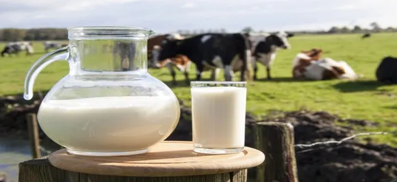World Milk Day 2019: Significance and importance of celebration 