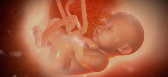 Shocker! Hidden in watermelon skin, female foetus found in Noida drain