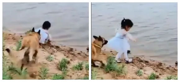 WATCH | Viral video of a dog saving girl child from deep water leave netizens with happy tears