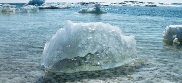 Guess WHAT! Common glue may help fight climate crisis 