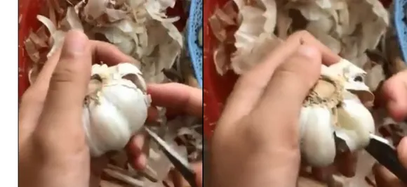 Watch Video: This garlic peeling hack takes Internet by storm, garners over 21.5 million views on Twitter 