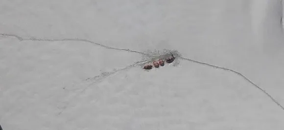ITBP team brings 7 bodies of mountaineers to lower base in Uttarakhand 
