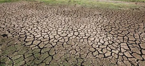 Economic Survey calls for new policies to improve water efficiency in farm sector