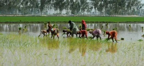 Government raises budget allocation to agriculture ministry by 78 per cent in FY'20