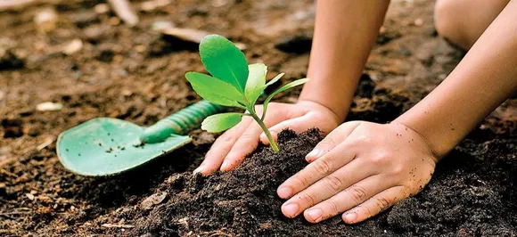 Plant 100 saplings, avoid externment, Bhopal DM to offenders
