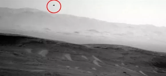 Did NASA photograph a flying bird on Mars? Details inside 