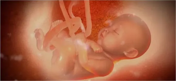 Couple sues New York clinic for â€˜mistakenlyâ€™ implanting its embryo in wrong woman
