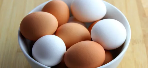 Myth vs Reality: Are brown eggs more nutritious than white eggs?