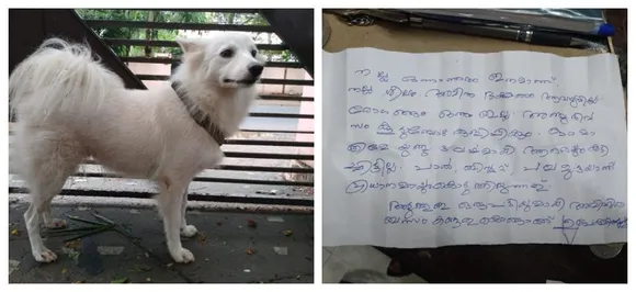 Dog owner abandons dog, claims it had â€˜illicit relationshipâ€™ with neighbourâ€™s dog