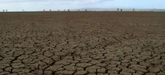Earth warming at faster rate than in last 2,000 years: Study