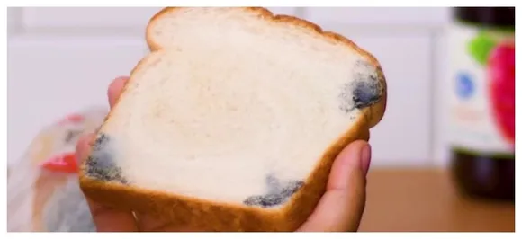 What happens to the body if you eat mold by accident?
